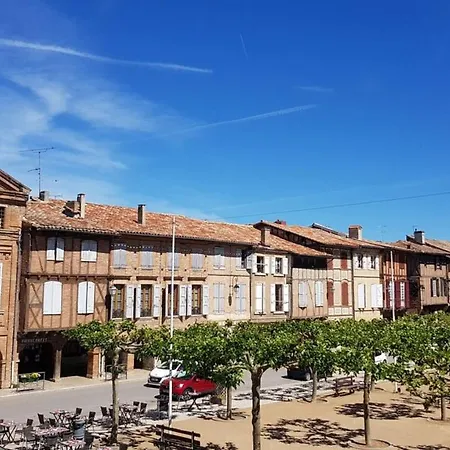 Le Cocon Floral - - Hypercentre Et Bord Du Tarn *